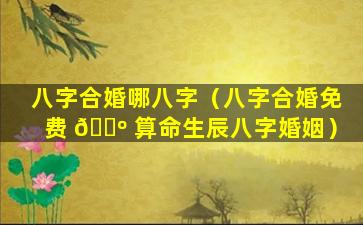 八字合婚哪八字（八字合婚免费 🐺 算命生辰八字婚姻）
